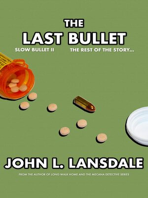 cover image of Slow Bullet II